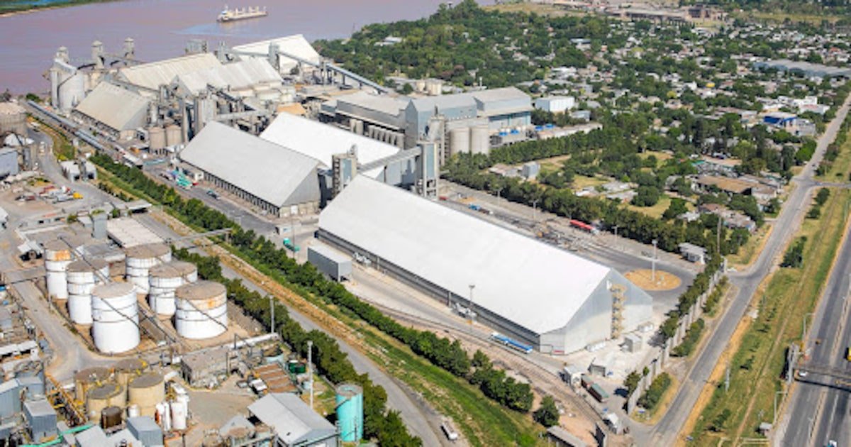 Molinos Agro lidera inversión de US$500 millones en planta de soja