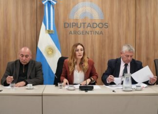 SEGEMAR: Tierras raras son elementos químicos, no minerales