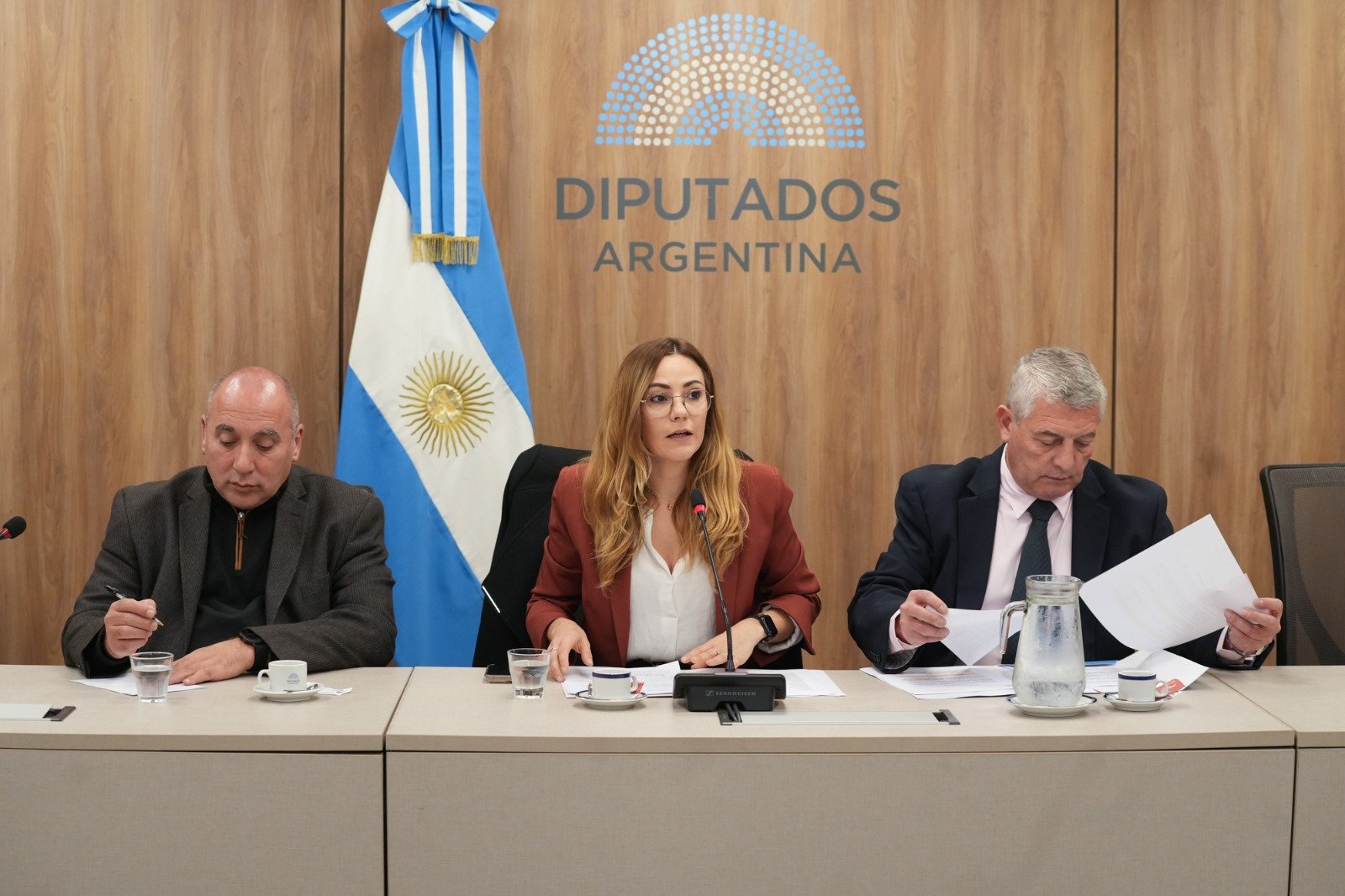 SEGEMAR: Tierras raras son elementos químicos, no minerales