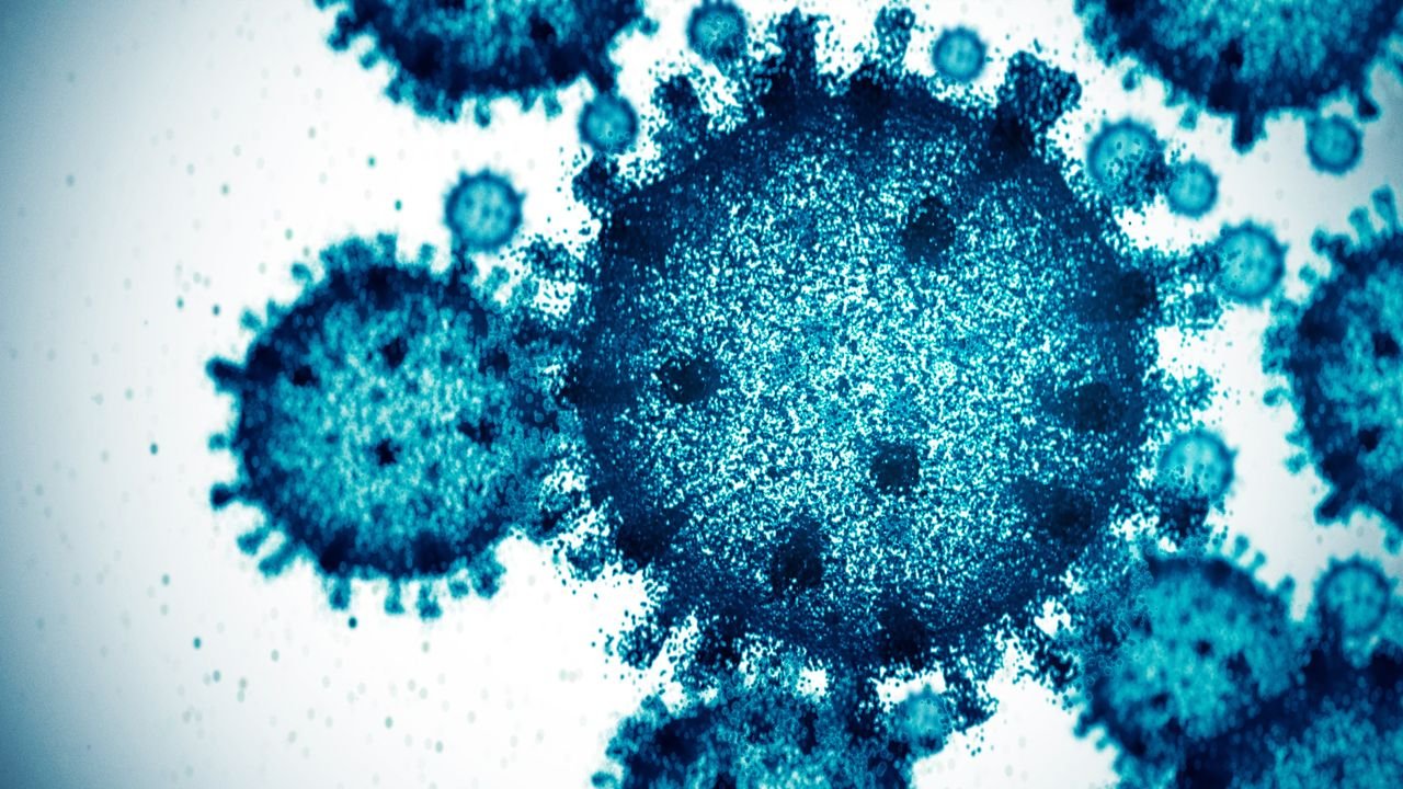IA crea virus funcionales inéditos para combatir bacterias resistentes